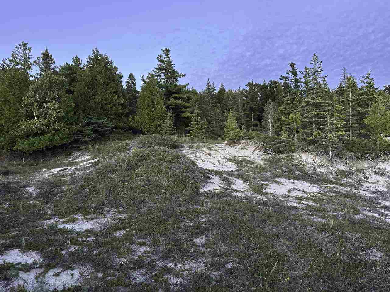 Tbd Mrs. Reddings Trail Beaver Island MI 49782