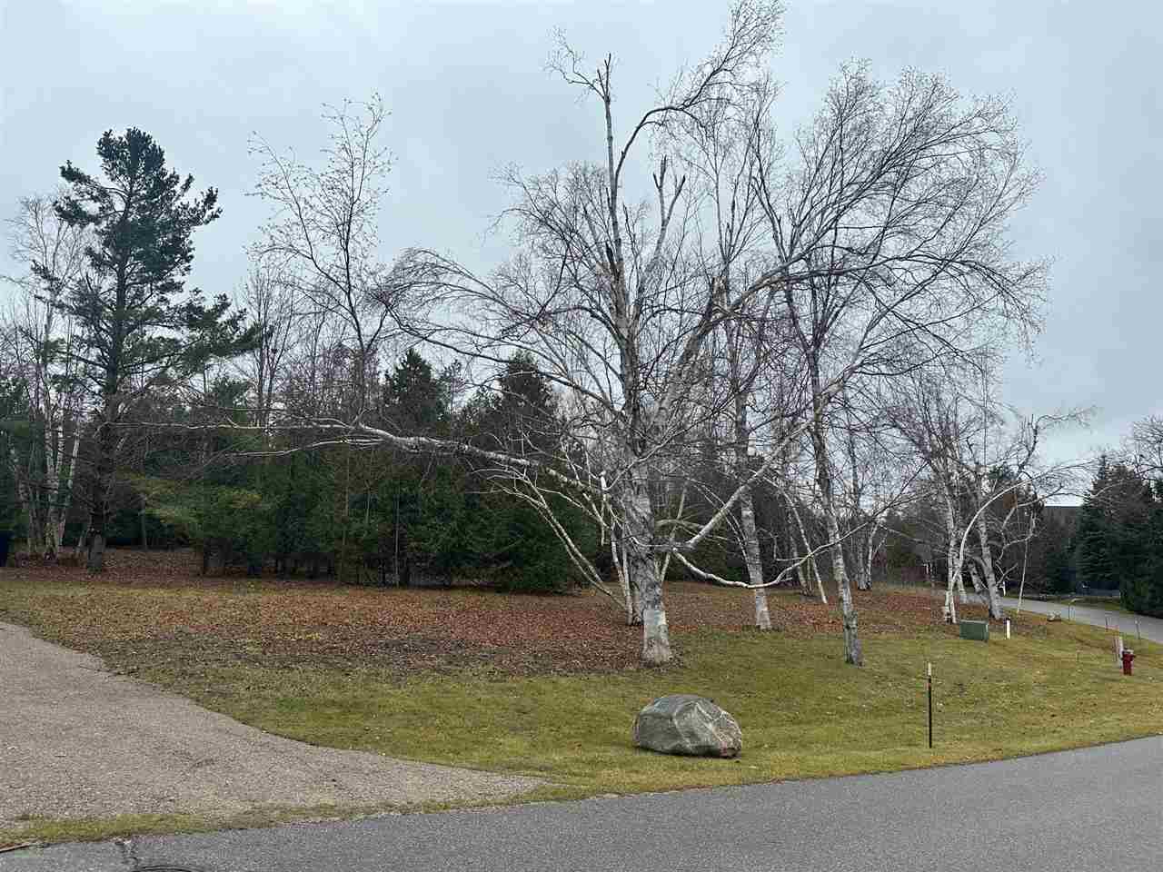4585 Wildwinds Drive Bay Harbor MI 49770
