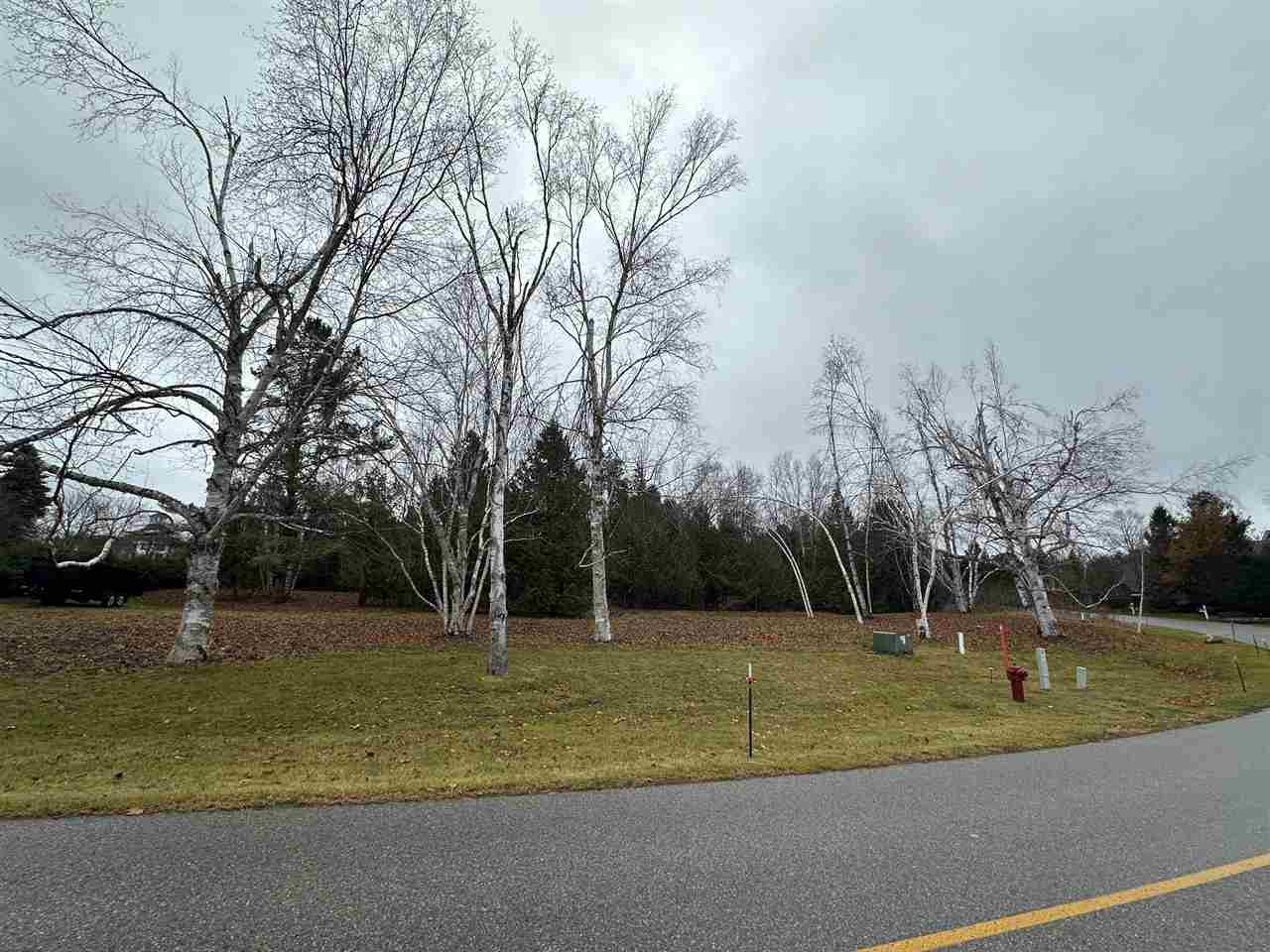 4585 Wildwinds Drive Bay Harbor MI 49770