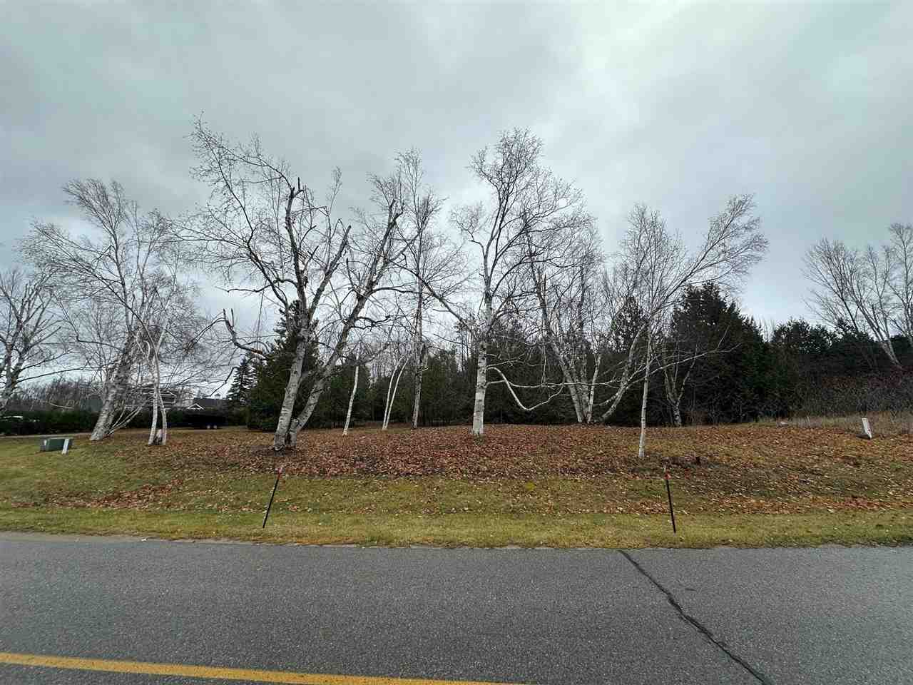 4585 Wildwinds Drive Bay Harbor MI 49770