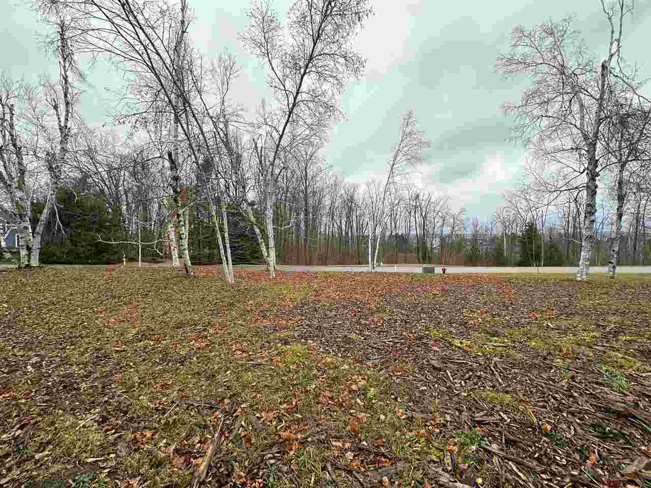 4585 Wildwinds Drive Bay Harbor MI 49770