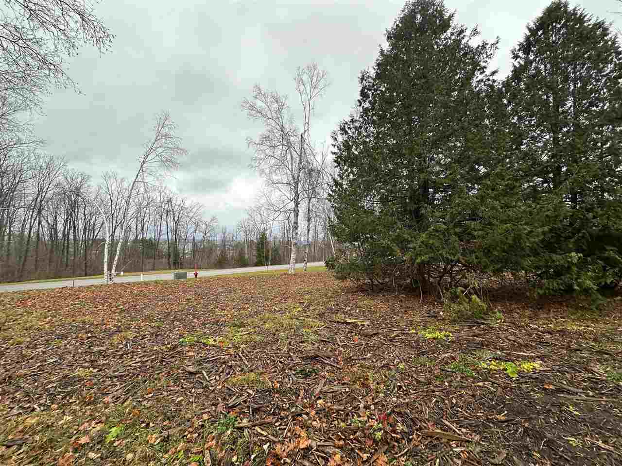 4585 Wildwinds Drive Bay Harbor MI 49770