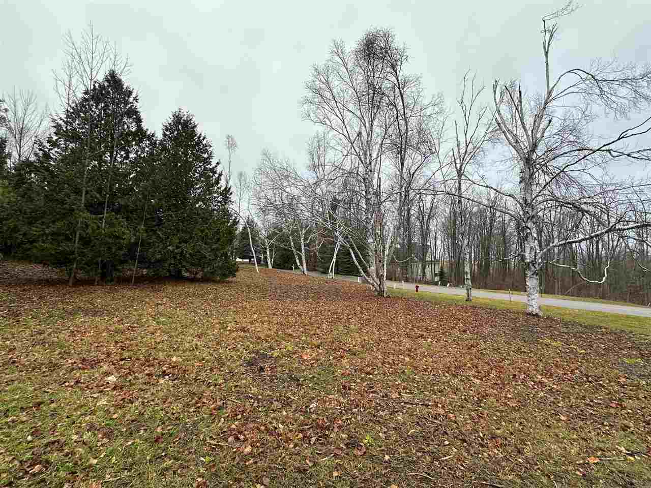 4585 Wildwinds Drive Bay Harbor MI 49770