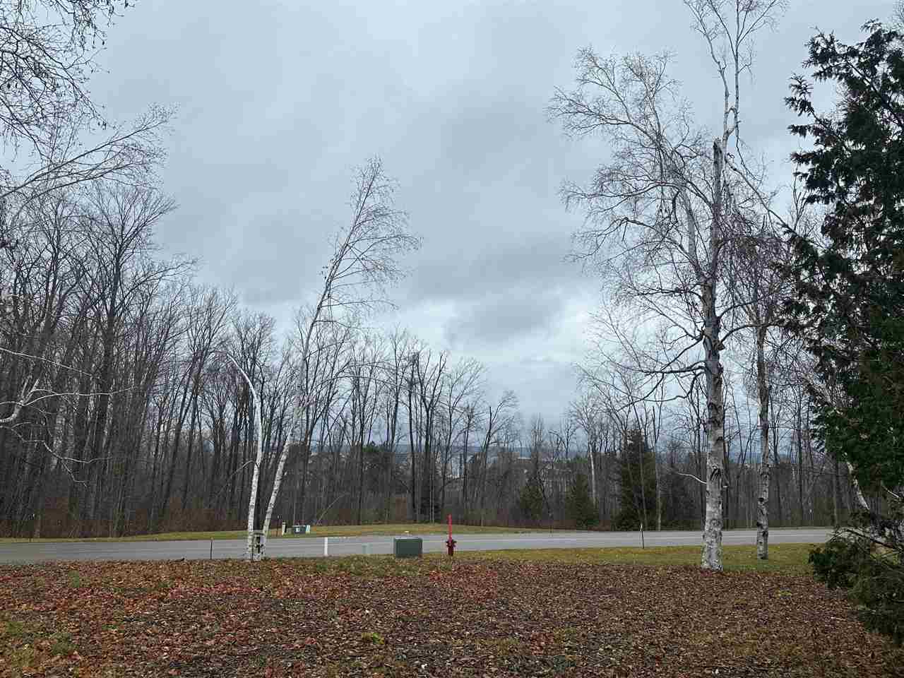 4585 Wildwinds Drive Bay Harbor MI 49770