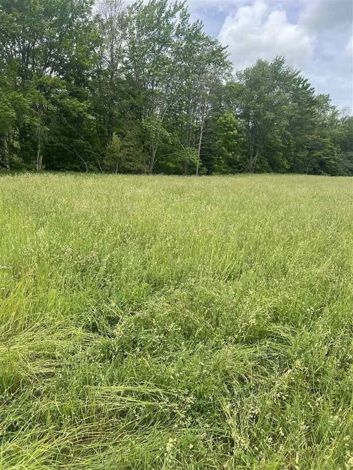 Springwood Road C-2 Charlevoix MI 49720