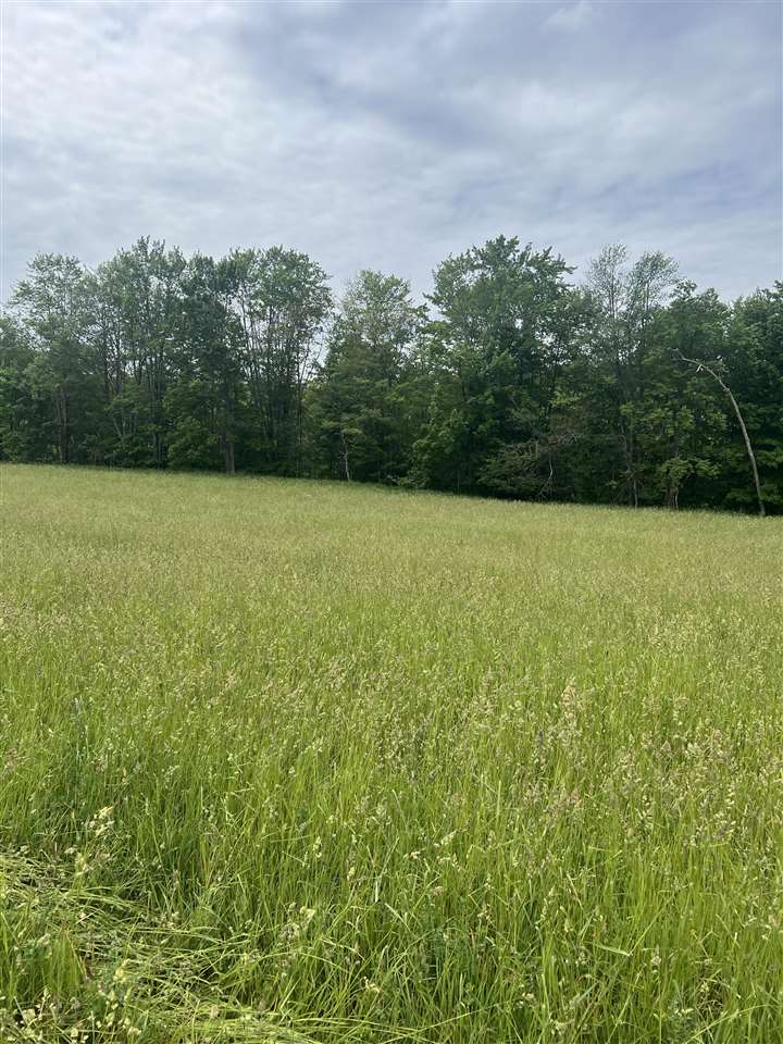 Springwood Road C-2 Charlevoix MI 49720