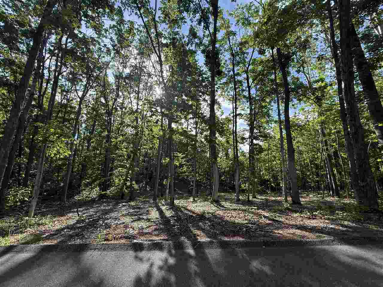 4400 Turfway Trail Harbor Springs MI 49740