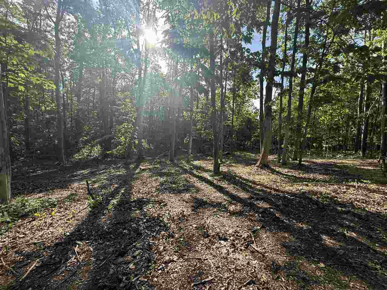 4400 Turfway Trail Harbor Springs MI 49740