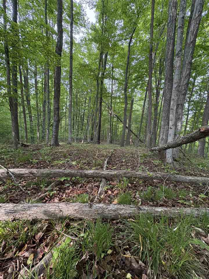 Tbd Erie Street East Jordan MI 49727