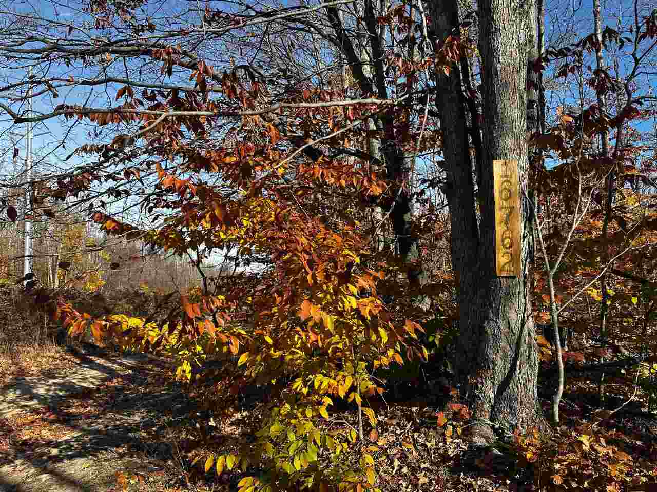 16762 Sunshine Trail Vanderbilt MI 49795