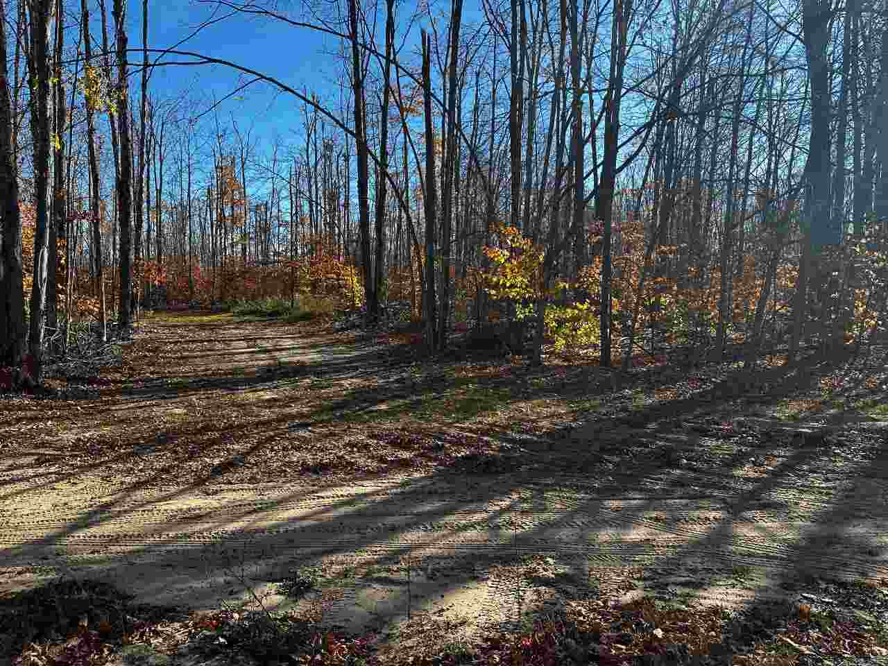 16762 Sunshine Trail Vanderbilt MI 49795