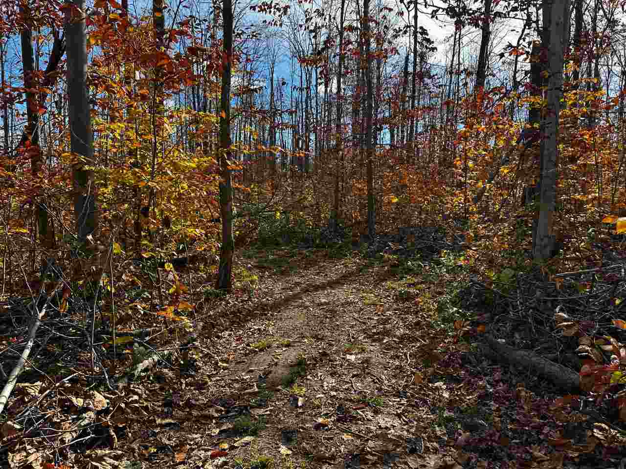 16762 Sunshine Trail Vanderbilt MI 49795