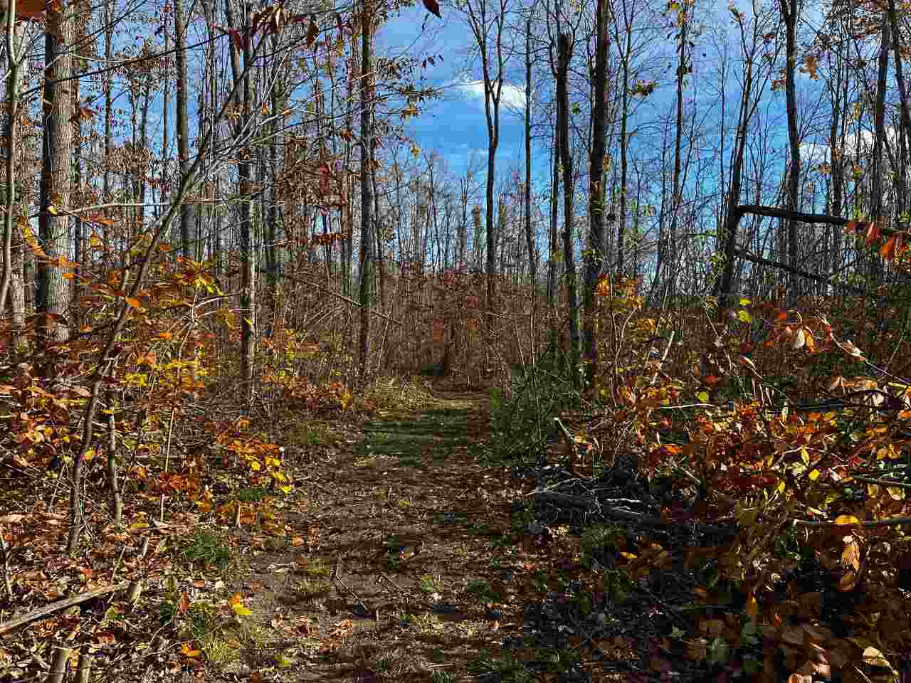 16762 Sunshine Trail Vanderbilt MI 49795