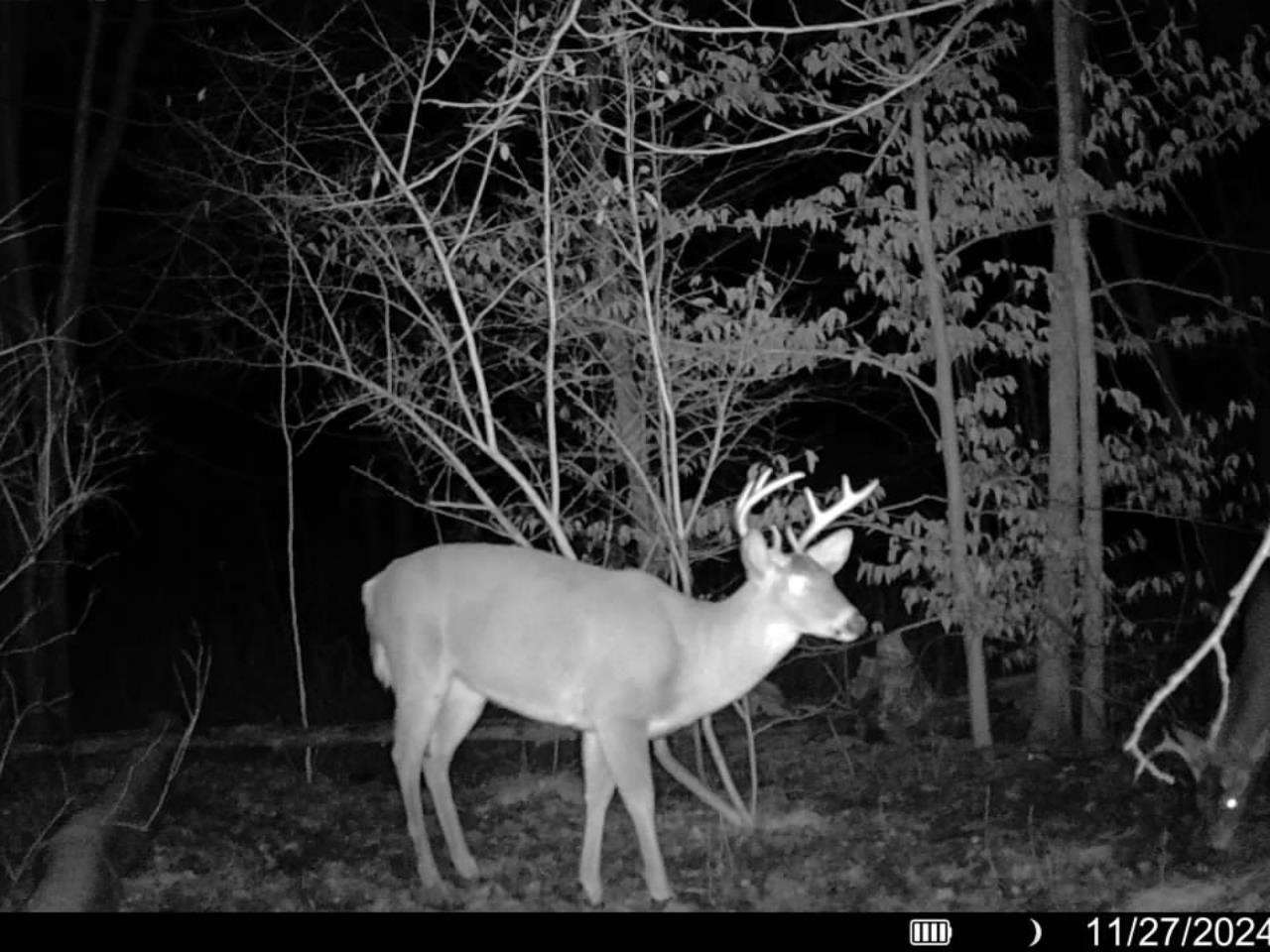 16762 Sunshine Trail Vanderbilt MI 49795