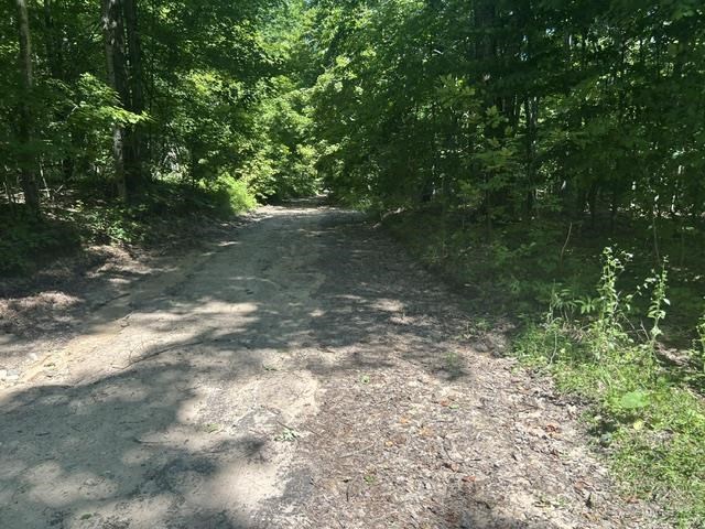 V/a Teal Road Pellston MI 49769