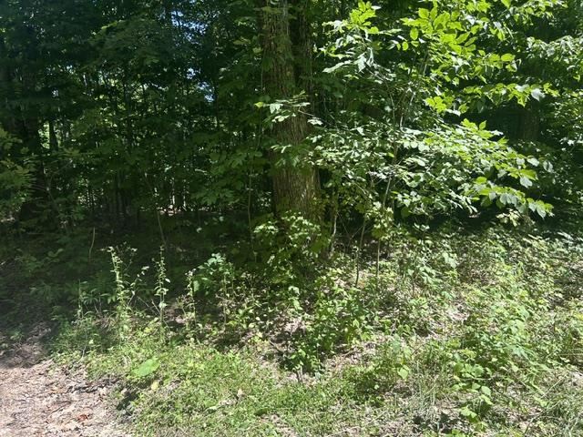 V/a Teal Road Pellston MI 49769