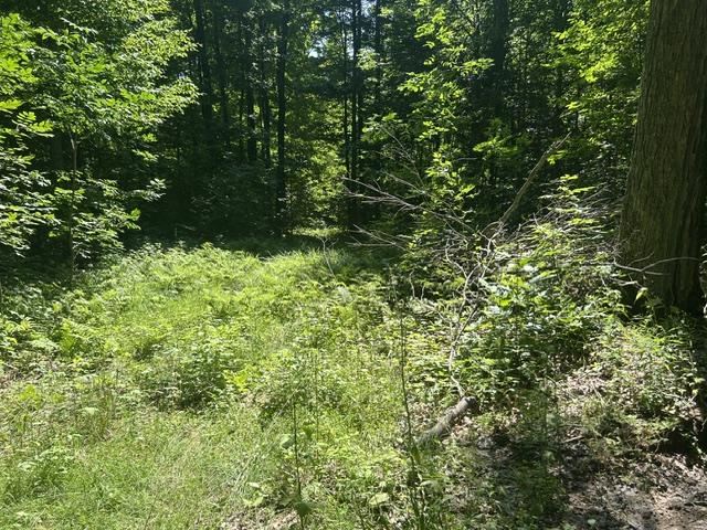 V/a Teal Road Pellston MI 49769