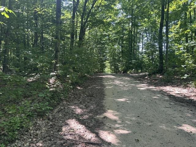 V/a Teal Road Pellston MI 49769