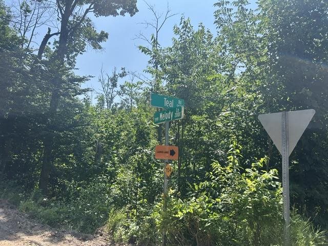V/a Teal Road Pellston MI 49769