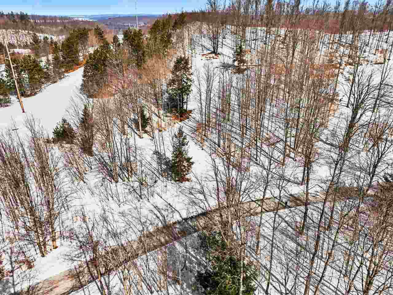 Lot 29 High Pines Trail Boyne City MI 49712