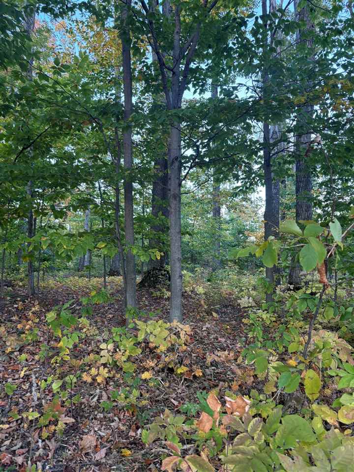 4840 Turfway Trail Harbor Springs MI 49740
