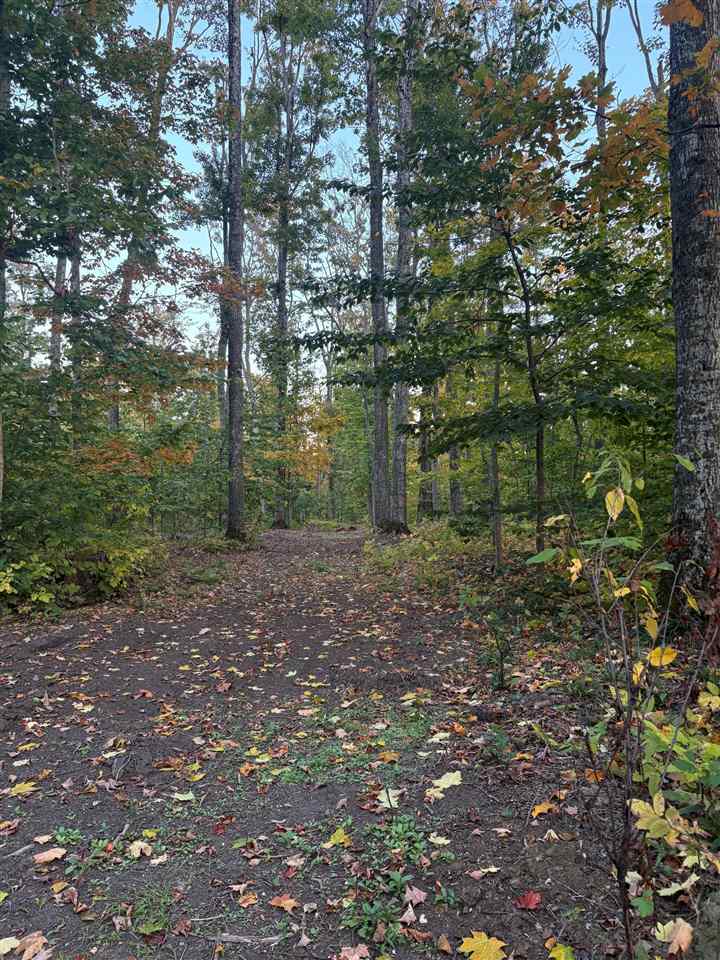 4840 Turfway Trail Harbor Springs MI 49740