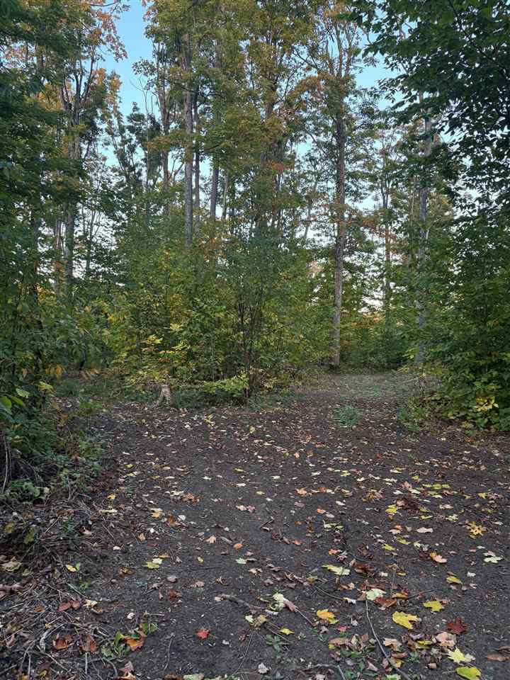 4840 Turfway Trail Harbor Springs MI 49740