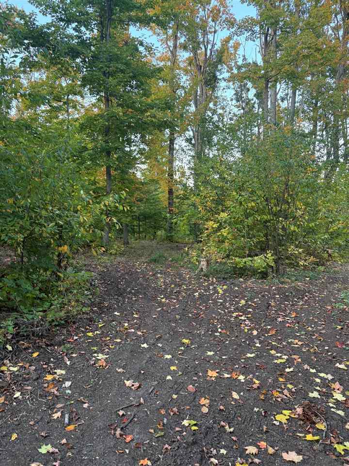 4840 Turfway Trail Harbor Springs MI 49740