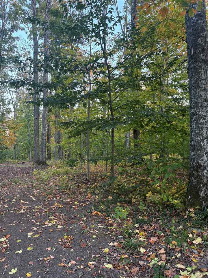 4840 Turfway Trail Harbor Springs MI 49740