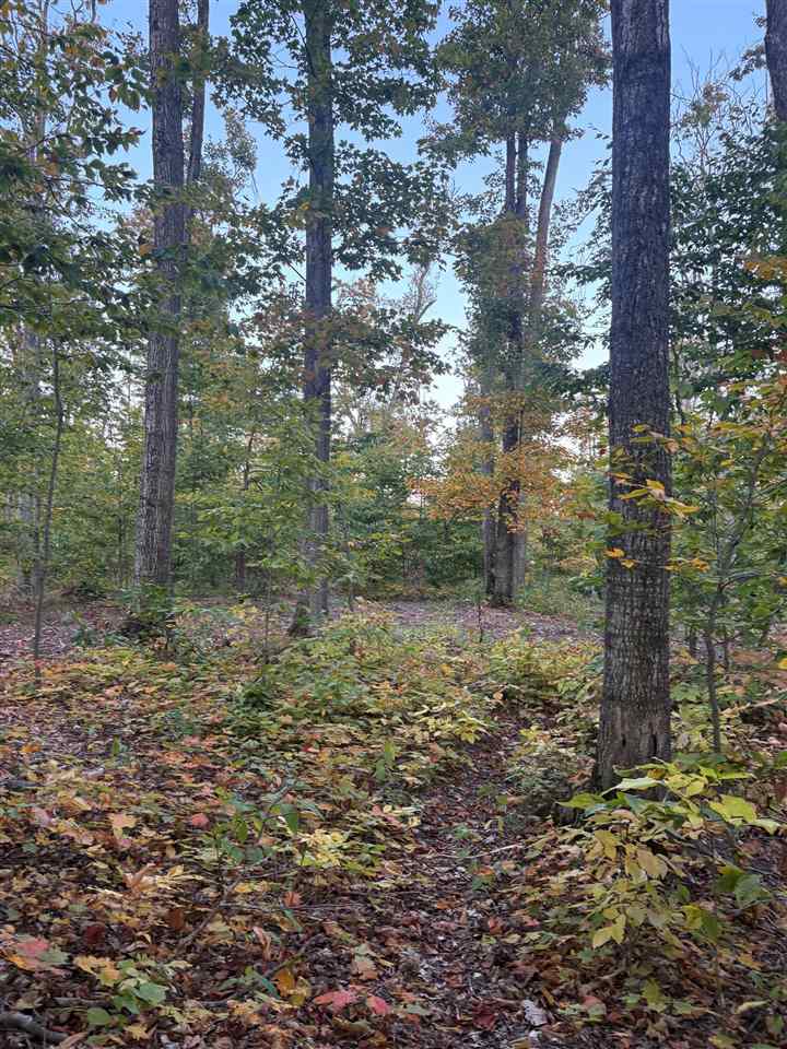 4840 Turfway Trail Harbor Springs MI 49740