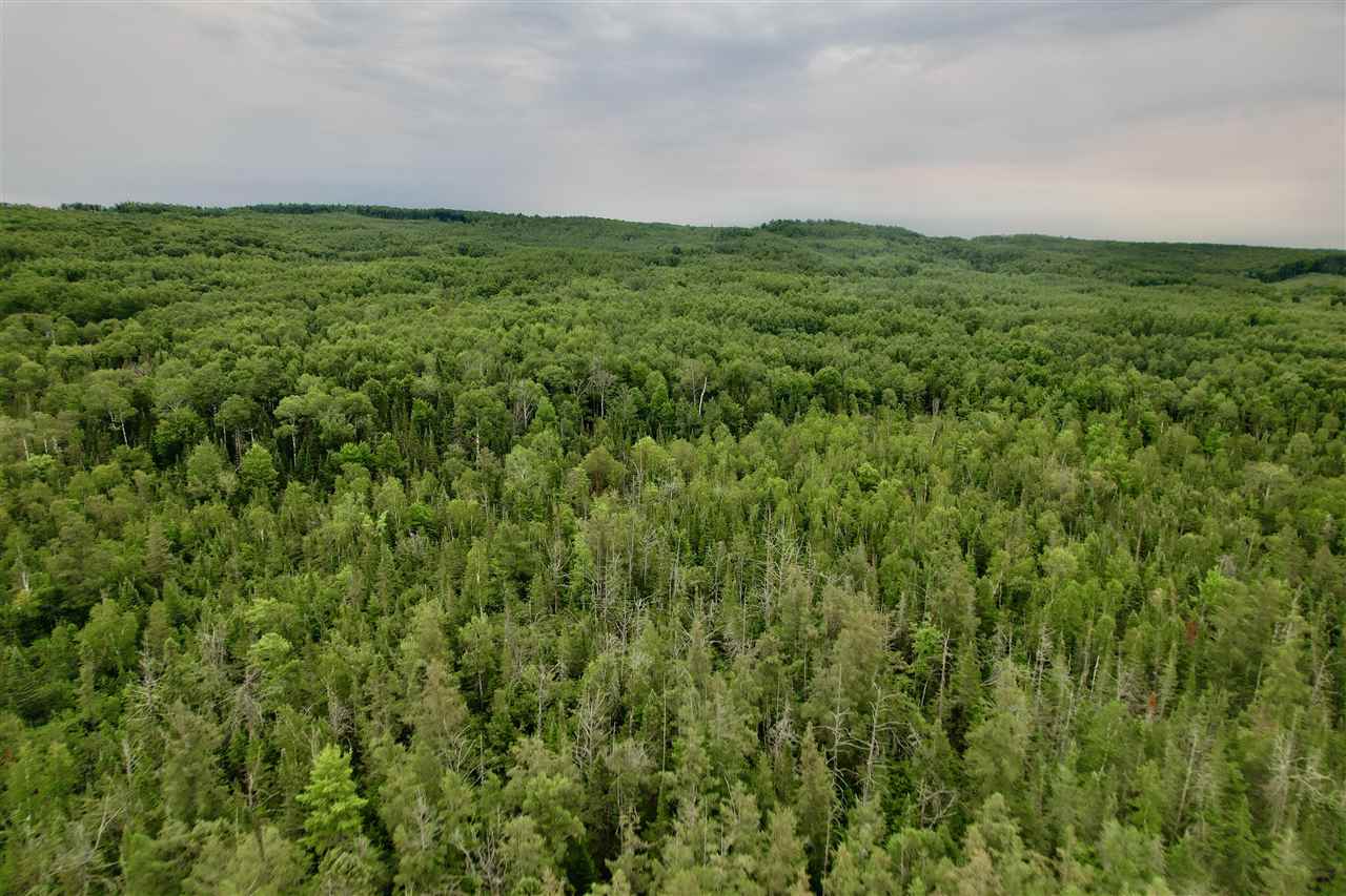 Tbd Us 131 N Boyne Falls MI 49713