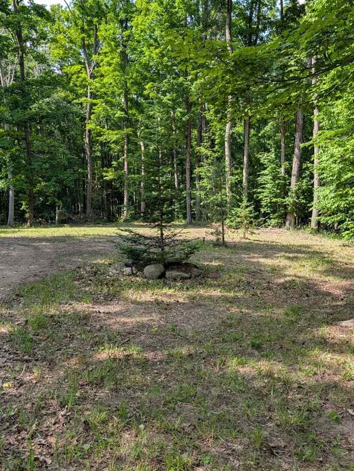 3054 Webb Road Wolverine MI 49799-9785