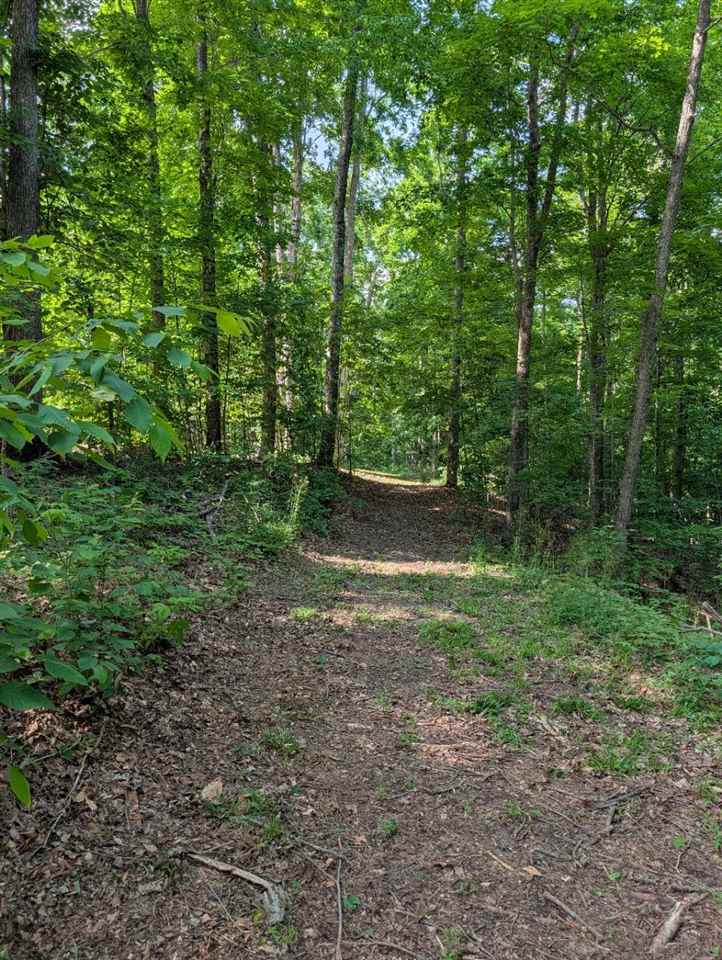 3054 Webb Road Wolverine MI 49799-9785