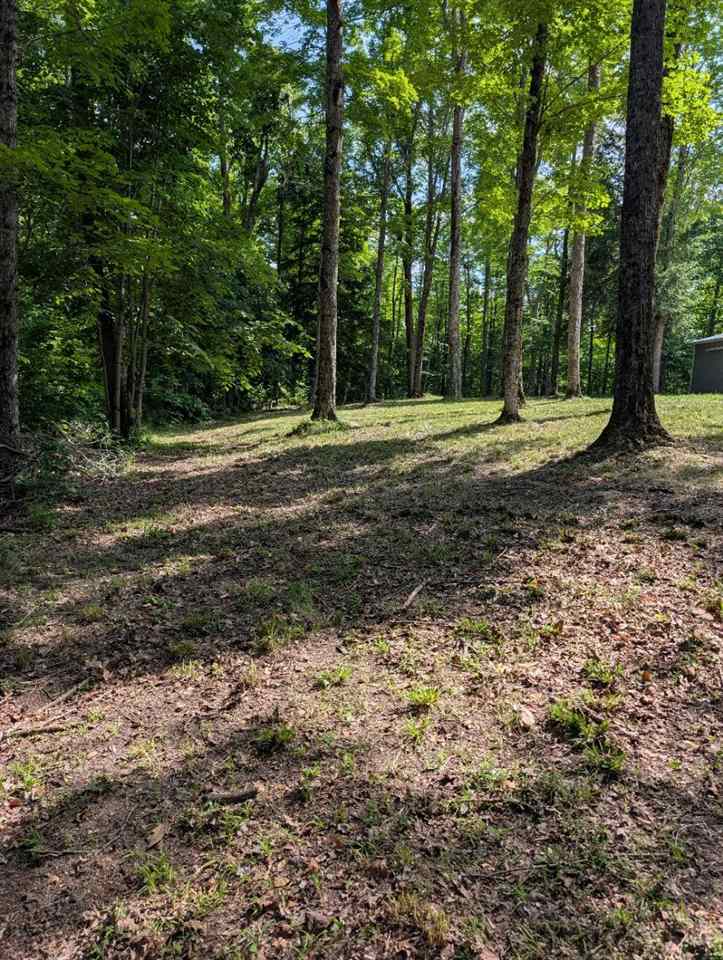 3054 Webb Road Wolverine MI 49799-9785