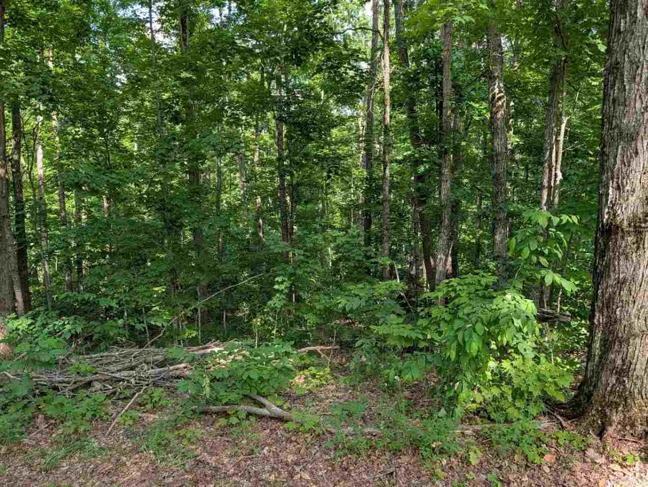3054 Webb Road Wolverine MI 49799-9785
