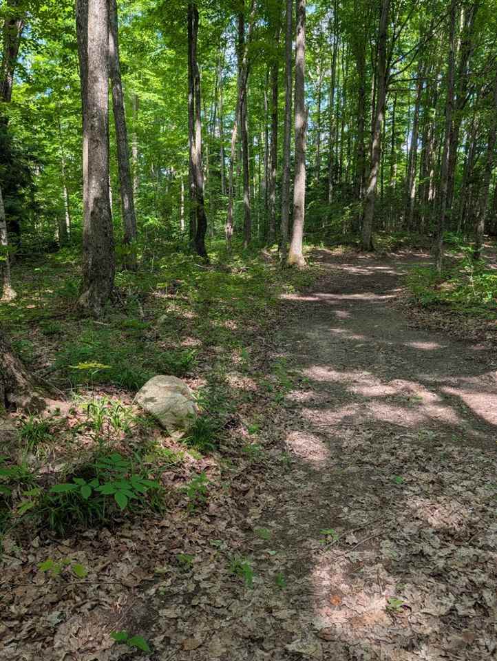 3054 Webb Road Wolverine MI 49799-9785