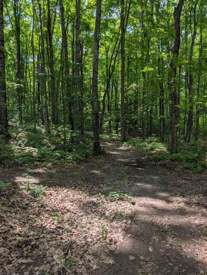 3054 Webb Road Wolverine MI 49799-9785