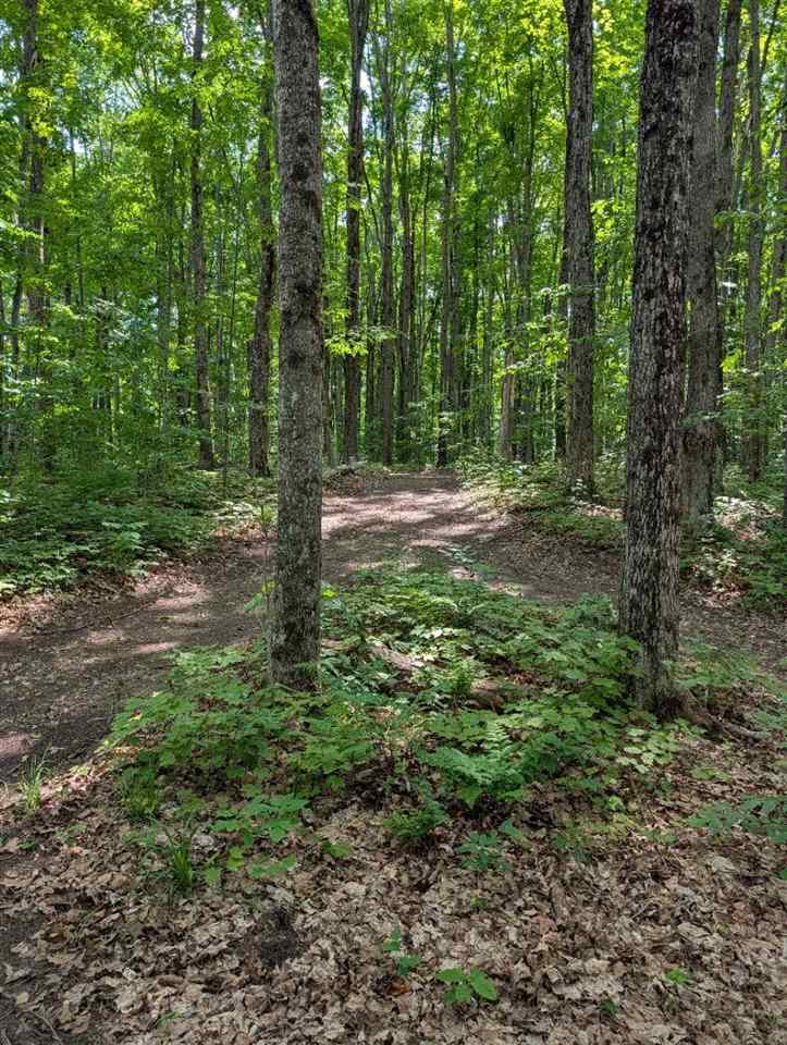 3054 Webb Road Wolverine MI 49799-9785