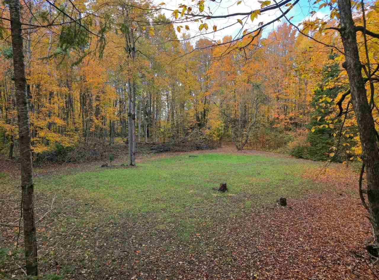 3054 Webb Road Wolverine MI 49799-9785