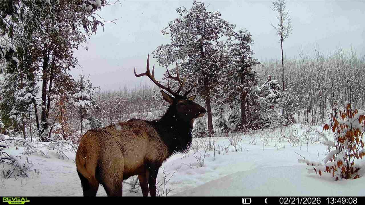 3054 Webb Road Wolverine MI 49799-9785