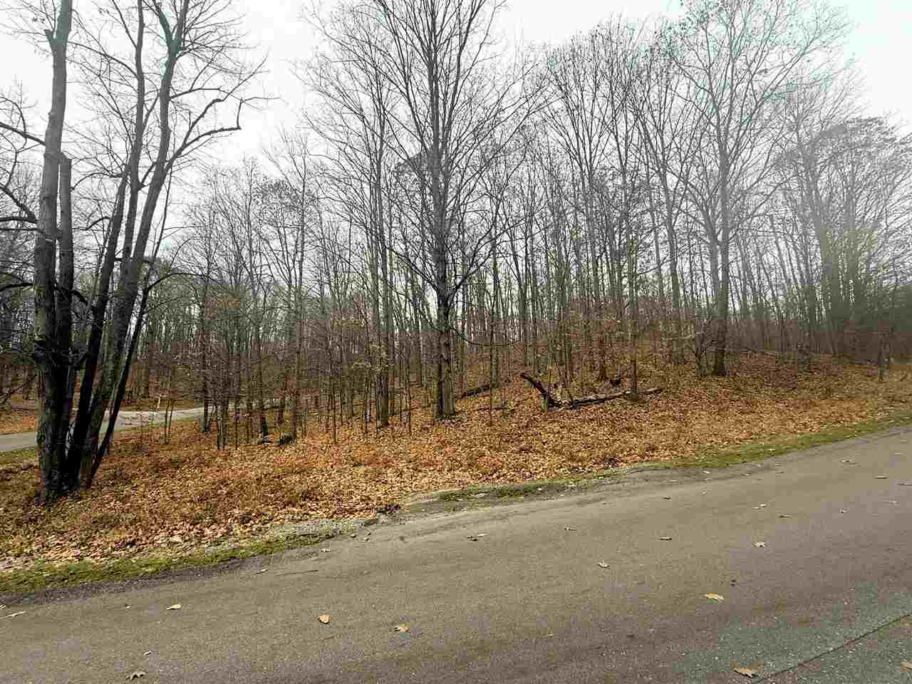 Lot 57 Valley Run Bellaire MI 49615