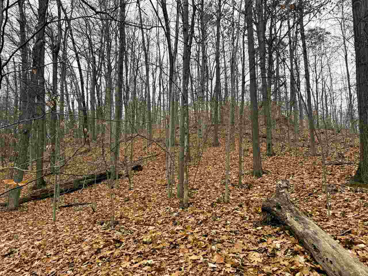 Lot 57 Valley Run Bellaire MI 49615