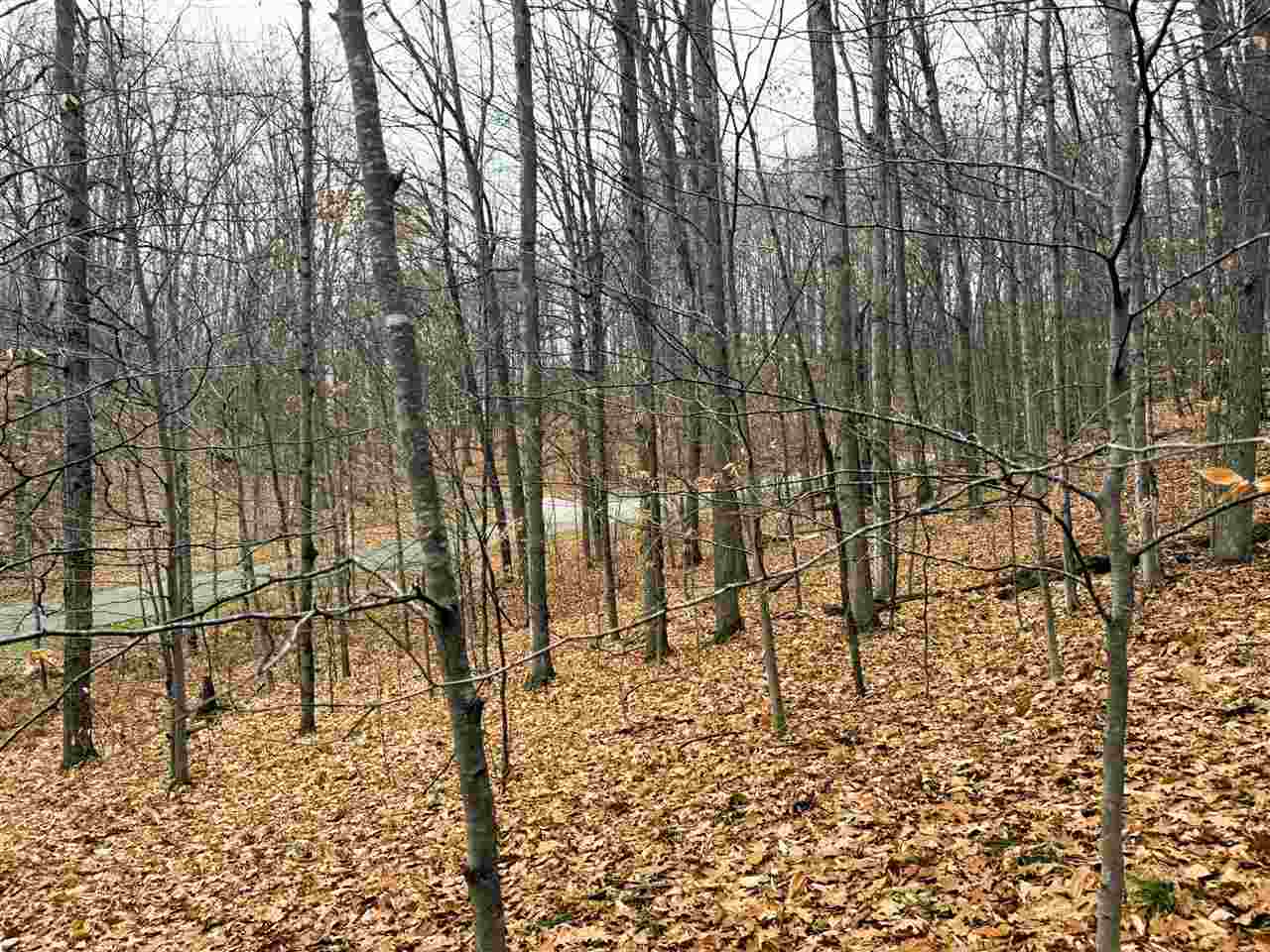 Lot 57 Valley Run Bellaire MI 49615