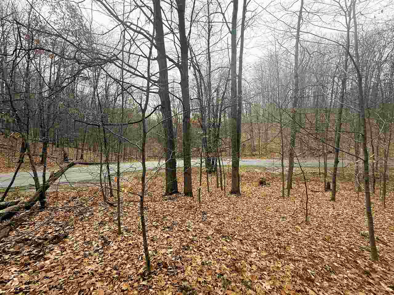 Lot 57 Valley Run Bellaire MI 49615