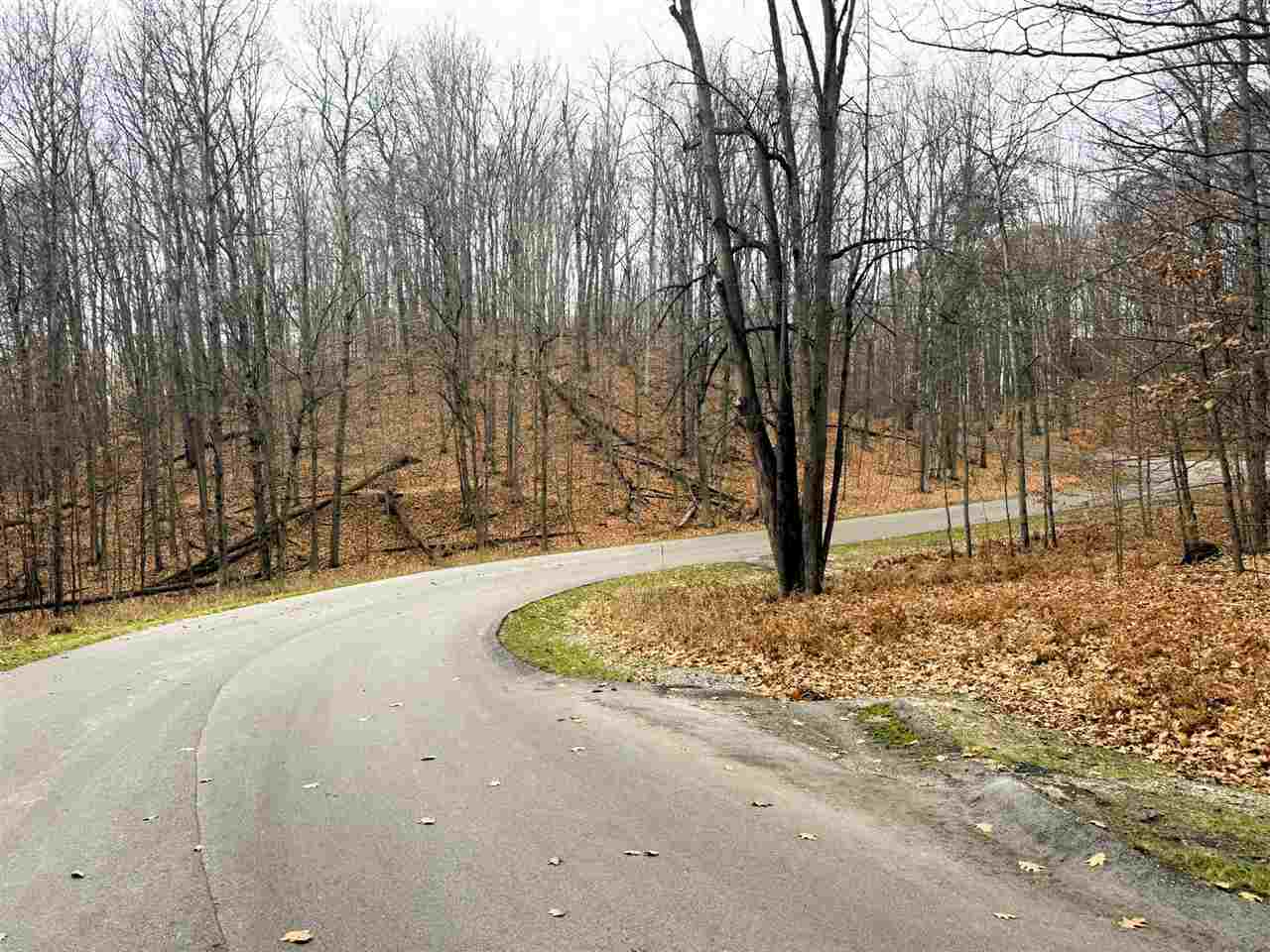 Lot 57 Valley Run Bellaire MI 49615