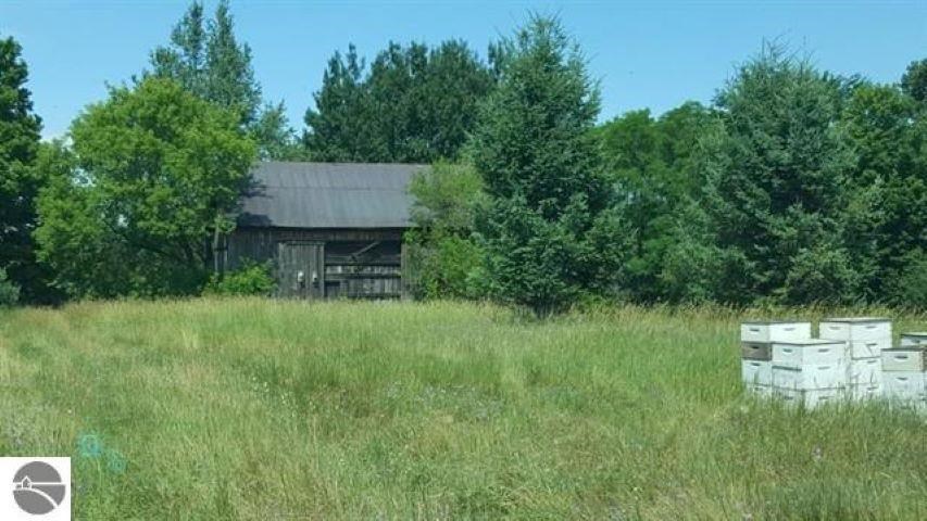 Parcel B Cemetery Road Alden MI 49612