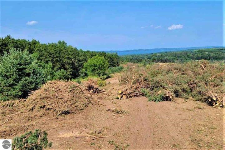 Parcel B Cemetery Road Alden MI 49612