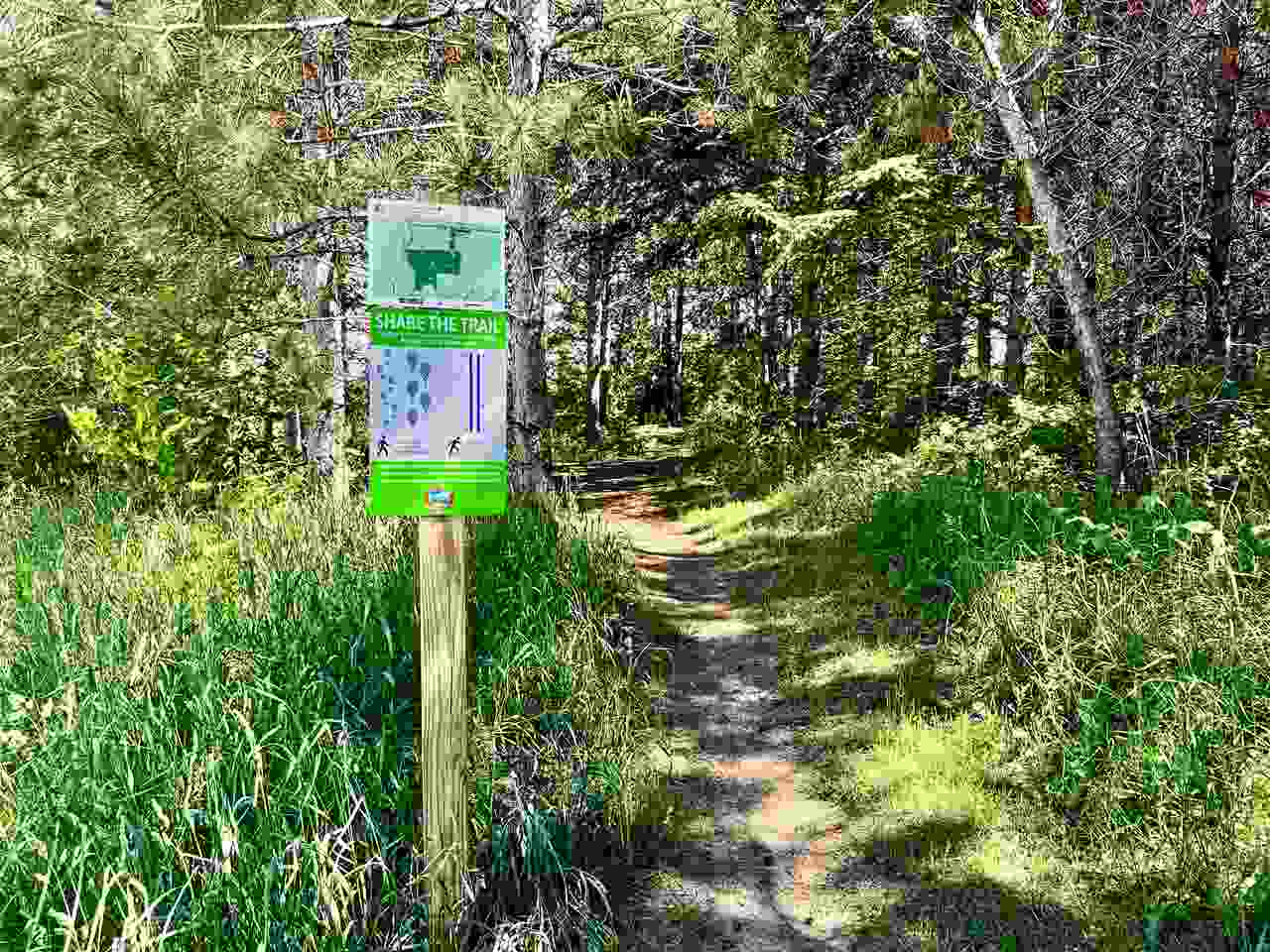 Tbd W Clute Road Boyne City MI 49712