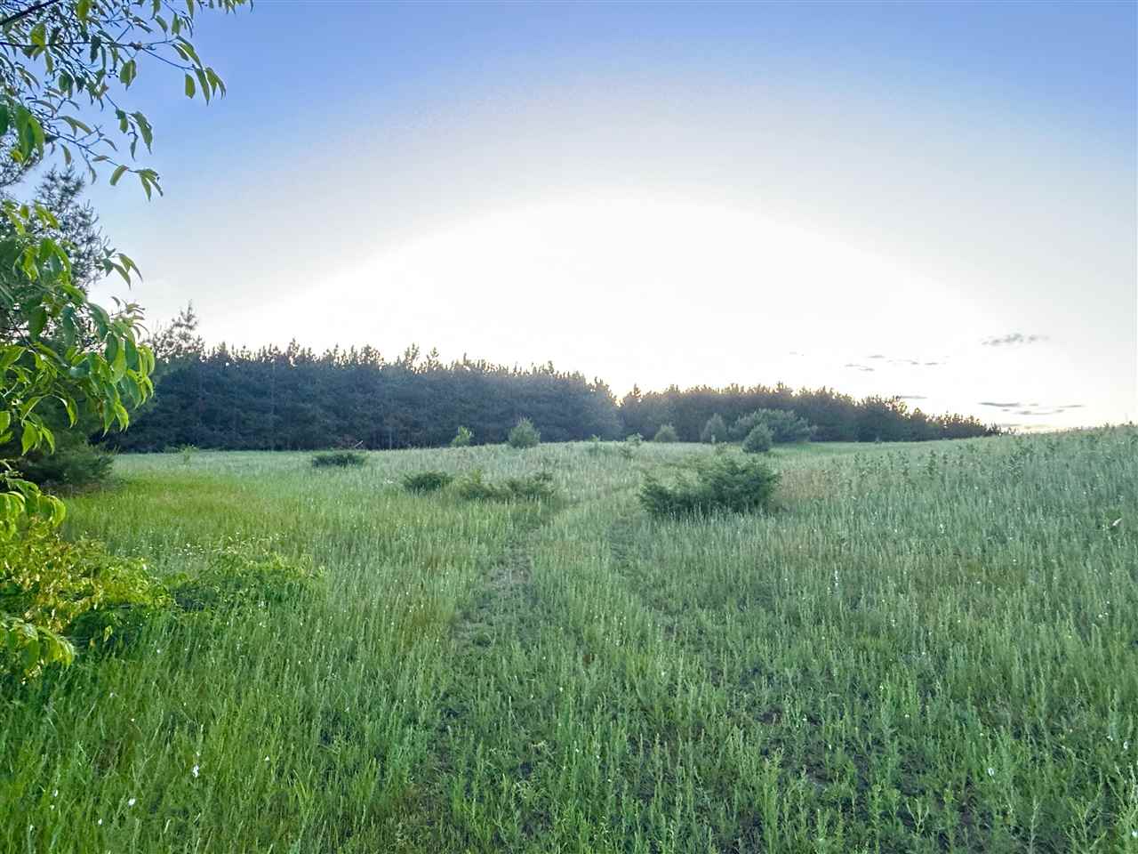 Tbd W Clute Road Boyne City MI 49712