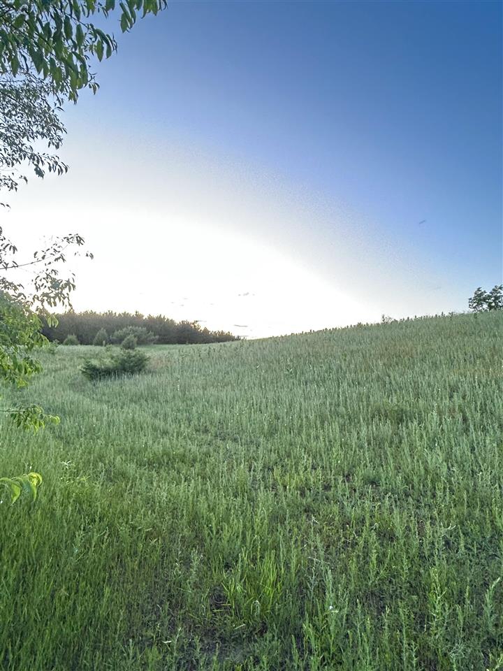 Tbd W Clute Road Boyne City MI 49712